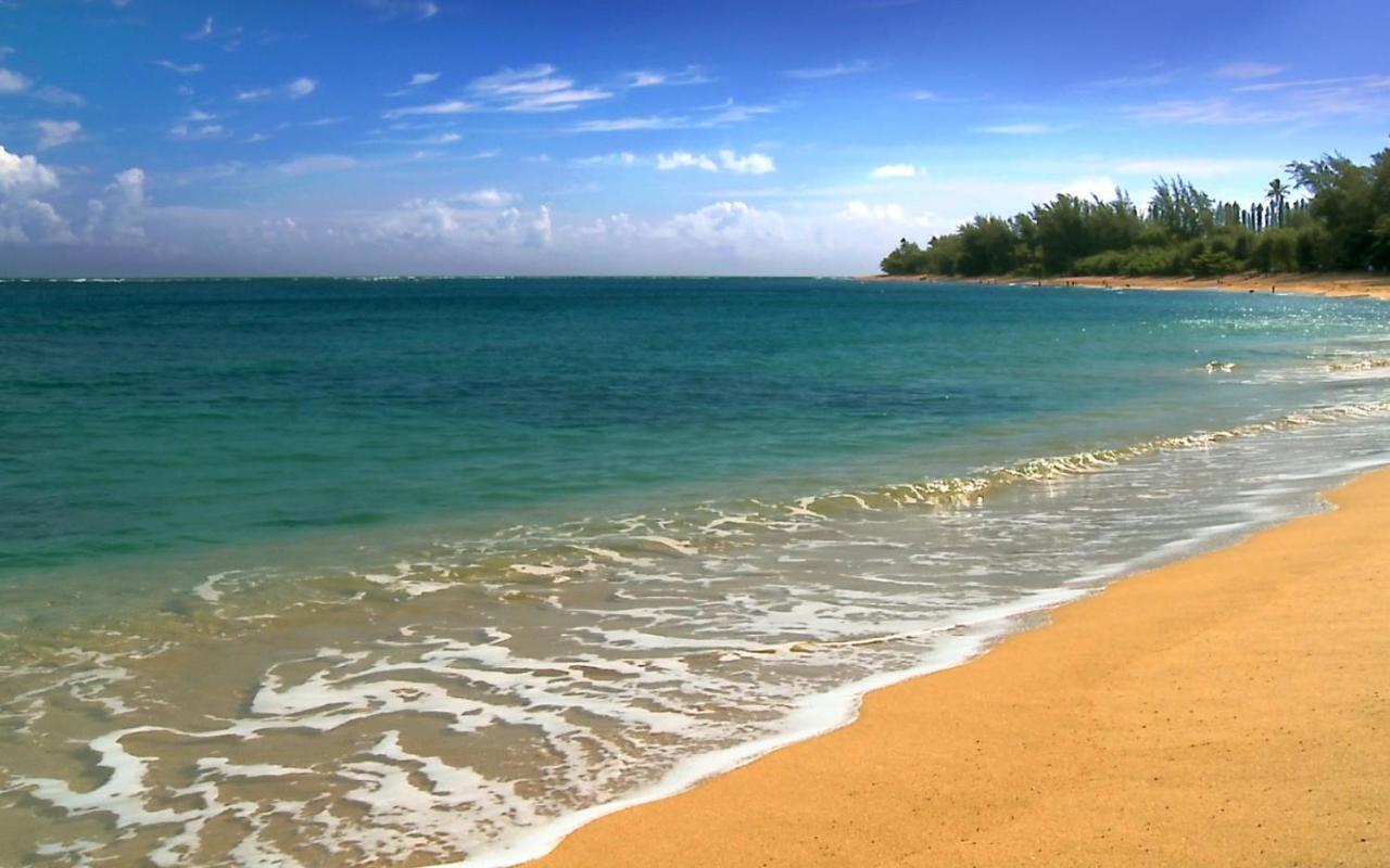 Beachfront Kihei Kai Nani Dış mekan fotoğraf